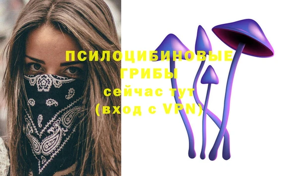a pvp Алексин