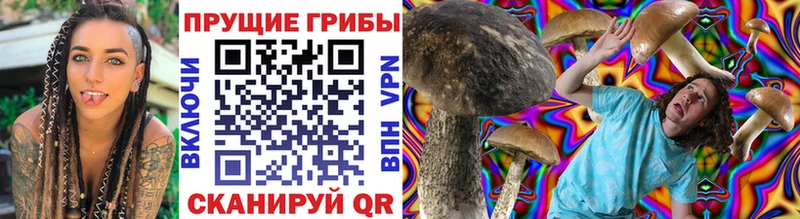Псилоцибиновые грибы мухоморы  blacksprut сайт  Тулун 