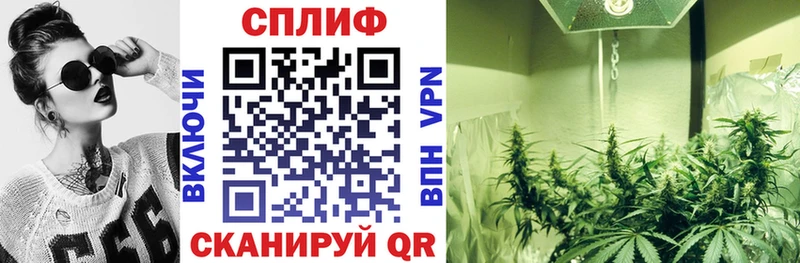 МАРИХУАНА THC 21%  где найти   Тулун 